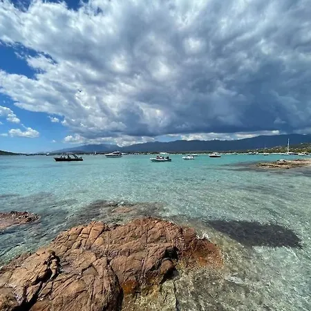 La Rondina Vue Mer, Piscine Et A Pied. Zonza