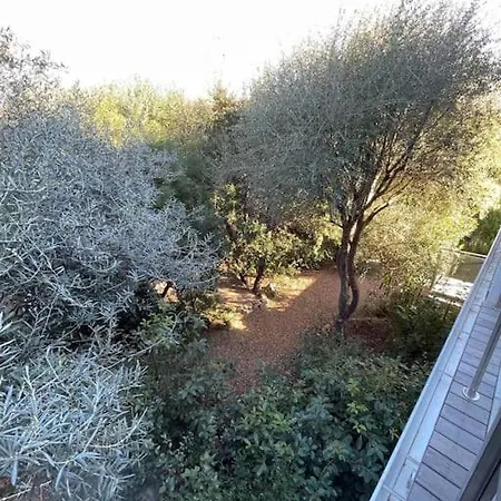 Villa La Rondina Vue Mer, Piscine Et à Pied. Zonza