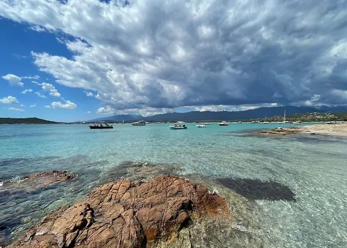 La Rondina Vue Mer, Piscine Et A Pied. Zonza