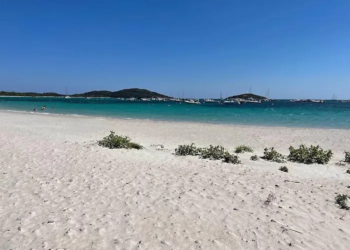 La Rondina Vue Mer, Piscine Et A Pied. Zonza