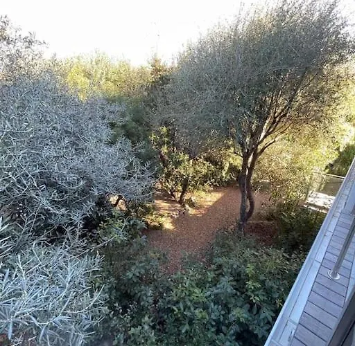 Vila La Rondina Vue Mer, Piscine Et A Pied. Zonza